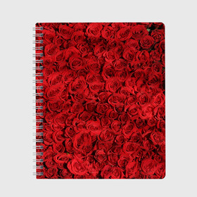 Тетрадь с принтом Roses в Екатеринбурге, 100% бумага | 48 листов, плотность листов — 60 г/м2, плотность картонной обложки — 250 г/м2. Листы скреплены сбоку удобной пружинной спиралью. Уголки страниц и обложки скругленные. Цвет линий — светло-серый
 | Тематика изображения на принте: алые розы | весна | деревья | касные розы | красная роза | красный цветок | лепестки | лес | лето | листья | май | милион алых роз | на каждый день | осень | поле | роза | розы | солнце | тропики | флора