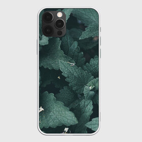 Чехол для iPhone 12 Pro Max с принтом Мята в Екатеринбурге, Силикон |  | abstract | brand | geometry | sport | texture | абстракция | бренд | геометрия | классика | летние | минимализм | модные | популярные иллюстрации | прикольные картинки | спорт | стиль | стильные | текстура