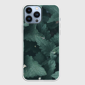 Чехол для iPhone 13 Pro Max с принтом Мята. в Екатеринбурге,  |  | abstract | brand | geometry | sport | texture | абстракция | бренд | геометрия | классика | летние | минимализм | модные | популярные иллюстрации | прикольные картинки | спорт | стиль | стильные | текстура