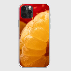 Чехол для iPhone 12 Pro Max с принтом Малина в Екатеринбурге, Силикон |  | Тематика изображения на принте: еда | жёлтая | жёлтые | красная | красные | малина | малинка | природа | растение | растения | ягода | ягодки | ягоды