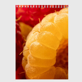 Скетчбук с принтом Малина в Екатеринбурге, 100% бумага
 | 48 листов, плотность листов — 100 г/м2, плотность картонной обложки — 250 г/м2. Листы скреплены сверху удобной пружинной спиралью | Тематика изображения на принте: еда | жёлтая | жёлтые | красная | красные | малина | малинка | природа | растение | растения | ягода | ягодки | ягоды