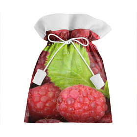 Подарочный 3D мешок с принтом Малина в Екатеринбурге, 100% полиэстер | Размер: 29*39 см | Тематика изображения на принте: еда | красная | красные | лист | листок | листочек | листья | малина | малинка | природа | растение | растения | ягода | ягодка | ягодки | ягоды