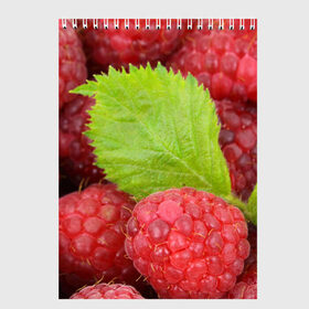 Скетчбук с принтом Малина в Екатеринбурге, 100% бумага
 | 48 листов, плотность листов — 100 г/м2, плотность картонной обложки — 250 г/м2. Листы скреплены сверху удобной пружинной спиралью | Тематика изображения на принте: еда | красная | красные | лист | листок | листочек | листья | малина | малинка | природа | растение | растения | ягода | ягодка | ягодки | ягоды