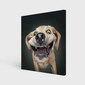 Холст квадратный с принтом Улыбающаяся Собака в Екатеринбурге, 100% ПВХ |  | dog | зубы | лапы | мем | пес | прикол | слюни | смешные животные | собака | собачка | улыбающаяся собака | улыбка | щенок | юмор | язык