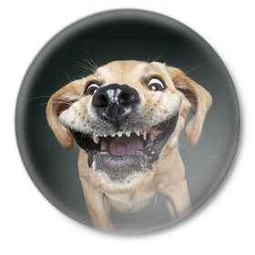 Значок с принтом Улыбающаяся Собака в Екатеринбурге,  металл | круглая форма, металлическая застежка в виде булавки | dog | зубы | лапы | мем | пес | прикол | слюни | смешные животные | собака | собачка | улыбающаяся собака | улыбка | щенок | юмор | язык