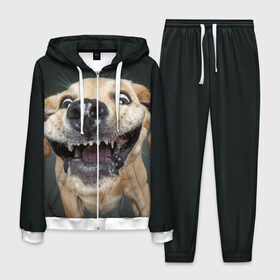 Мужской костюм 3D с принтом Улыбающаяся Собака в Екатеринбурге, 100% полиэстер | Манжеты и пояс оформлены тканевой резинкой, двухслойный капюшон со шнурком для регулировки, карманы спереди | Тематика изображения на принте: dog | зубы | лапы | мем | пес | прикол | слюни | смешные животные | собака | собачка | улыбающаяся собака | улыбка | щенок | юмор | язык