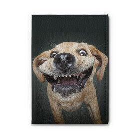 Обложка для автодокументов с принтом Улыбающаяся Собака в Екатеринбурге, натуральная кожа |  размер 19,9*13 см; внутри 4 больших “конверта” для документов и один маленький отдел — туда идеально встанут права | Тематика изображения на принте: dog | зубы | лапы | мем | пес | прикол | слюни | смешные животные | собака | собачка | улыбающаяся собака | улыбка | щенок | юмор | язык