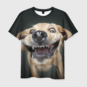 Мужская футболка 3D с принтом Улыбающаяся Собака в Екатеринбурге, 100% полиэфир | прямой крой, круглый вырез горловины, длина до линии бедер | Тематика изображения на принте: dog | зубы | лапы | мем | пес | прикол | слюни | смешные животные | собака | собачка | улыбающаяся собака | улыбка | щенок | юмор | язык