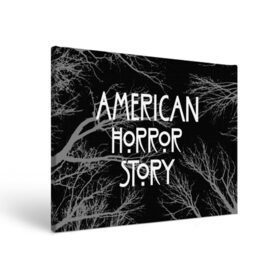 Холст прямоугольный с принтом American Horror Story. в Екатеринбурге, 100% ПВХ |  | american horror story | netflix | американ хоррор стори | американская история ужасов | драма | загадочные события | кино | мини сериал | нетфликс | очень странные дела | сериалы | триллер | ужасы | фантастика