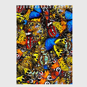 Скетчбук с принтом Ночные Бабочки в Екатеринбурге, 100% бумага
 | 48 листов, плотность листов — 100 г/м2, плотность картонной обложки — 250 г/м2. Листы скреплены сверху удобной пружинной спиралью | animals | butterfly | pattern | акварель | бабочка | бабочки | животные | крылышки | крылья | насекомые | ночные бабочки | паттерн | рисунок | тропические бабочки | цветные бабочки
