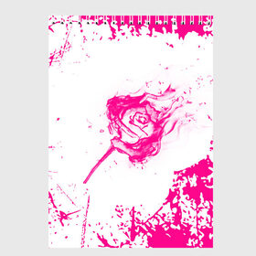Скетчбук с принтом роза в Екатеринбурге, 100% бумага
 | 48 листов, плотность листов — 100 г/м2, плотность картонной обложки — 250 г/м2. Листы скреплены сверху удобной пружинной спиралью | видео | мастер класс | поделки из бумаги | популярное | посадка | роза | роза из бумаги | розы | сад | своими руками | цветы