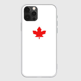 Чехол для iPhone 12 Pro Max с принтом Canada forever в Екатеринбурге, Силикон |  | aesthetic | autum | bts | canada | doomer | lofi | pumkin | абстракция | аниме | канада | киберпанк | листья | осень | текстуры | тыква | эстетика