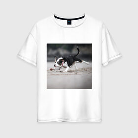 Женская футболка хлопок Oversize с принтом собака в Екатеринбурге, 100% хлопок | свободный крой, круглый ворот, спущенный рукав, длина до линии бедер
 | веселье | животные | мячик | отдых | собака
