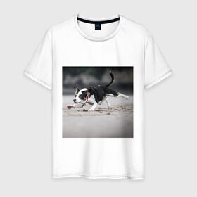 Мужская футболка хлопок с принтом собака в Екатеринбурге, 100% хлопок | прямой крой, круглый вырез горловины, длина до линии бедер, слегка спущенное плечо. | веселье | животные | мячик | отдых | собака