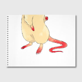 Альбом для рисования с принтом магистр дьявольского культа в Екатеринбурге, 100% бумага
 | матовая бумага, плотность 200 мг. | mdzs | modaozushi | крыса | крыска | магистр дьявольского культа | меняо