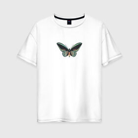 Женская футболка хлопок Oversize с принтом Бабочка в Екатеринбурге, 100% хлопок | свободный крой, круглый ворот, спущенный рукав, длина до линии бедер
 | бабочка | зеленая бабочка | насекомое