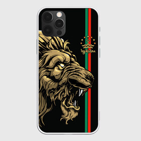 Чехол для iPhone 12 Pro Max с принтом Таджикистан в Екатеринбурге, Силикон |  | crown | evil | golden | islam | lion | republic | stars | tajikistan | звезды | злой | золотой | ислам | корона | лев | республика | таджикистан