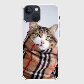 Чехол для iPhone 13 mini с принтом Кот в шарфе в Екатеринбурге,  |  | cat | животные | звири | кис | киска | кот | котейка | котик | коты | котяра | кошка | кошки | природа
