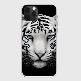 Чехол для iPhone 12 Pro Max с принтом Белый тигр в Екатеринбурге, Силикон |  | белый тигр | крупный тигр | крупным планом | с голубыми глазами | тигры