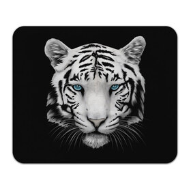 Коврик для мышки прямоугольный с принтом Белый тигр в Екатеринбурге, натуральный каучук | размер 230 х 185 мм; запечатка лицевой стороны | Тематика изображения на принте: белый тигр | крупный тигр | крупным планом | с голубыми глазами | тигры