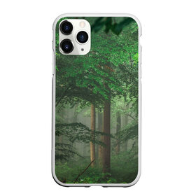 Чехол для iPhone 11 Pro Max матовый с принтом Тропический лес в Екатеринбурге, Силикон |  | Тематика изображения на принте: деревья | джунгли | зеленый лес | зелень | лес | тропики | тропический лес