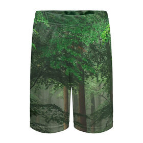 Детские спортивные шорты 3D с принтом Тропический лес в Екатеринбурге,  100% полиэстер
 | пояс оформлен широкой мягкой резинкой, ткань тянется
 | деревья | джунгли | зеленый лес | зелень | лес | тропики | тропический лес