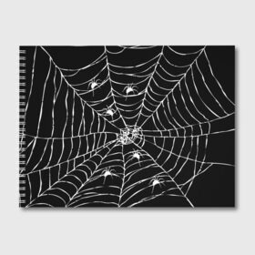 Альбом для рисования с принтом Паутина с пауками в Екатеринбурге, 100% бумага
 | матовая бумага, плотность 200 мг. | black and white | darkness | halloween | horror | night | spider | web | готика | жуки | жуткий | мальчикам | насекомые | нечисть | нити | ночные | ночь | пауки | паутина | подарок | сетка | страшный | темный | тьма | хеллоуин | хоррор