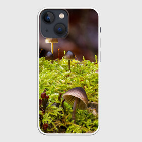 Чехол для iPhone 13 mini с принтом Мох в Екатеринбурге,  |  | гриб | грибы | дерево | деревья | зелёные | зелёный | зелень | лес | леса | лесной | мох | мхи | пенёк | пеньки | пни | поганка | поганки | природа | природный | флора