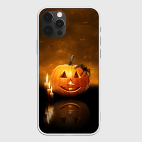 Чехол для iPhone 12 Pro Max с принтом Паук на тыкве в Екатеринбурге, Силикон |  | halloween | паук | паук на тыкве | праздник | страшный праздник | тыква | тыква джек | хэллоуин