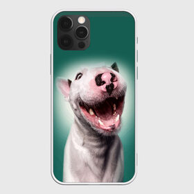 Чехол для iPhone 12 Pro Max с принтом Bully в Екатеринбурге, Силикон |  | Тематика изображения на принте: bull terrier | ears | eyes | fangs | jaw | muzzle | nose | smile | бультерьер | глаза | клыки | нос | пасть | улыбка | уши