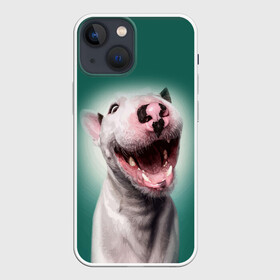 Чехол для iPhone 13 mini с принтом Bully в Екатеринбурге,  |  | bull terrier | ears | eyes | fangs | jaw | muzzle | nose | smile | бультерьер | глаза | клыки | нос | пасть | улыбка | уши