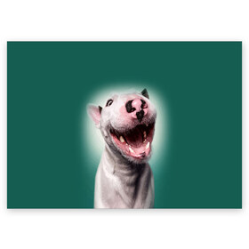 Поздравительная открытка с принтом Bully в Екатеринбурге, 100% бумага | плотность бумаги 280 г/м2, матовая, на обратной стороне линовка и место для марки
 | bull terrier | ears | eyes | fangs | jaw | muzzle | nose | smile | бультерьер | глаза | клыки | нос | пасть | улыбка | уши
