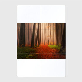Магнитный плакат 2Х3 с принтом Осенний лес в Екатеринбурге, Полимерный материал с магнитным слоем | 6 деталей размером 9*9 см | деревья | лес | листва | осенний лес | осень | природа