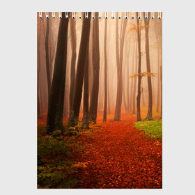 Скетчбук с принтом Осенний лес в Екатеринбурге, 100% бумага
 | 48 листов, плотность листов — 100 г/м2, плотность картонной обложки — 250 г/м2. Листы скреплены сверху удобной пружинной спиралью | Тематика изображения на принте: деревья | лес | листва | осенний лес | осень | природа