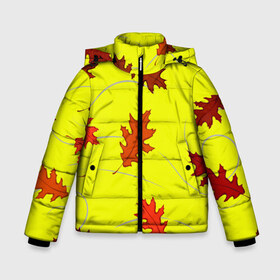 Зимняя куртка для мальчиков 3D с принтом Autumnal в Екатеринбурге, ткань верха — 100% полиэстер; подклад — 100% полиэстер, утеплитель — 100% полиэстер | длина ниже бедра, удлиненная спинка, воротник стойка и отстегивающийся капюшон. Есть боковые карманы с листочкой на кнопках, утяжки по низу изделия и внутренний карман на молнии. 

Предусмотрены светоотражающий принт на спинке, радужный светоотражающий элемент на пуллере молнии и на резинке для утяжки | abstraction | autumn | autumnal | colorful | fallen | leaves | patterns | texture | yellow | абстракция | желтый | листья | опавший | осенний | осень | разноцветный | текстура | узоры