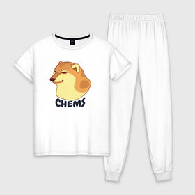 Женская пижама хлопок с принтом Чимс в Екатеринбурге, 100% хлопок | брюки и футболка прямого кроя, без карманов, на брюках мягкая резинка на поясе и по низу штанин | chemps | chems | doge | dogo | дог | доге | доке и чимс | чимс | чимс доге
