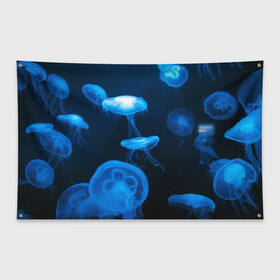 Флаг-баннер с принтом Медуза в Екатеринбурге, 100% полиэстер | размер 67 х 109 см, плотность ткани — 95 г/м2; по краям флага есть четыре люверса для крепления | medusozoa | медуза | медузы | морское животное | ядовитая медуза