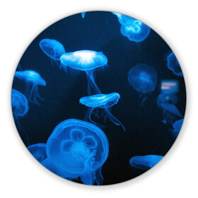 Коврик для мышки круглый с принтом Медуза в Екатеринбурге, резина и полиэстер | круглая форма, изображение наносится на всю лицевую часть | medusozoa | медуза | медузы | морское животное | ядовитая медуза