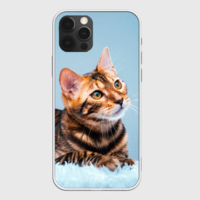 Чехол для iPhone 12 Pro Max с принтом Бенгальский кот в Екатеринбурге, Силикон |  | cat | животные | звири | кис | киска | кот | котейка | котик | коты | котяра | кошка | кошки | природа