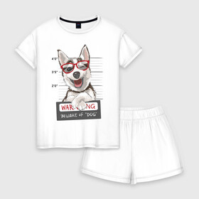 Женская пижама с шортиками хлопок с принтом МИЛЫЙ ХАСКИ в Екатеринбурге, 100% хлопок | футболка прямого кроя, шорты свободные с широкой мягкой резинкой | dog | husky | добрый | милый | пес | песик | собака | собчака | хакси