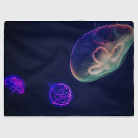 Плед 3D с принтом Фантастическая медуза в Екатеринбурге, 100% полиэстер | закругленные углы, все края обработаны. Ткань не мнется и не растягивается | медуза | медуза в море | морская медуза | плавающая медуза | светящаяся медуза