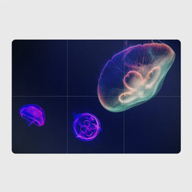 Магнитный плакат 3Х2 с принтом Фантастическая медуза в Екатеринбурге, Полимерный материал с магнитным слоем | 6 деталей размером 9*9 см | медуза | медуза в море | морская медуза | плавающая медуза | светящаяся медуза