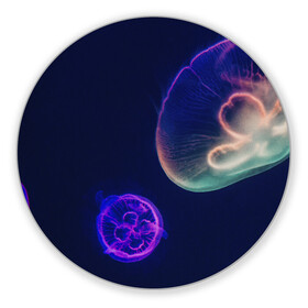 Коврик для мышки круглый с принтом Фантастическая медуза в Екатеринбурге, резина и полиэстер | круглая форма, изображение наносится на всю лицевую часть | медуза | медуза в море | морская медуза | плавающая медуза | светящаяся медуза