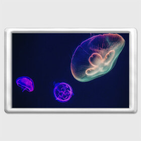Магнит 45*70 с принтом Фантастическая медуза в Екатеринбурге, Пластик | Размер: 78*52 мм; Размер печати: 70*45 | медуза | медуза в море | морская медуза | плавающая медуза | светящаяся медуза