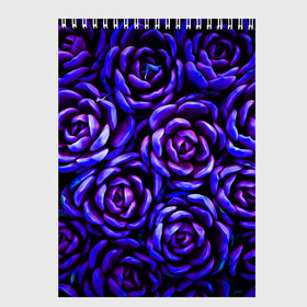 Скетчбук с принтом Lovely Roses в Екатеринбурге, 100% бумага
 | 48 листов, плотность листов — 100 г/м2, плотность картонной обложки — 250 г/м2. Листы скреплены сверху удобной пружинной спиралью | flowers | large | lovely roses | plants | purple | roses | succulent | texture | крупный | прекрасные розы | растения | розы | суккулент | текстура | фиолетовый | цветы