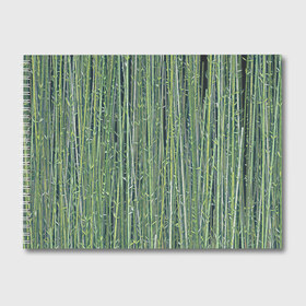 Альбом для рисования с принтом Зеленый бамбук в Екатеринбурге, 100% бумага
 | матовая бумага, плотность 200 мг. | bamboo | forest | stripes | бамбук | заросли | лес | листья | полосы | растения