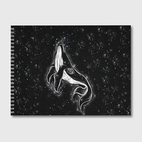 Альбом для рисования с принтом Космический Кит в Екатеринбурге, 100% бумага
 | матовая бумага, плотность 200 мг. | 2020 | cosmos | nasa | stars | звезды | илон маск | кит | киты | космос | марс | наса | небо | ночная медведица | ночное | ночь | созвездие | созвездия | черная дыра | юпитер