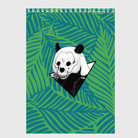 Скетчбук с принтом Панда нежить в Екатеринбурге, 100% бумага
 | 48 листов, плотность листов — 100 г/м2, плотность картонной обложки — 250 г/м2. Листы скреплены сверху удобной пружинной спиралью | бамбук | зверь | листья | медведь | треугольник | череп
