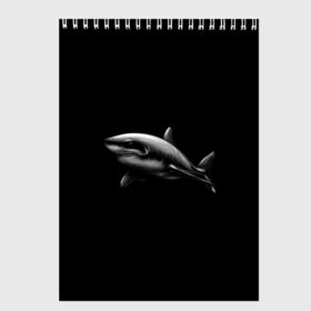 Скетчбук с принтом Акула в Екатеринбурге, 100% бумага
 | 48 листов, плотность листов — 100 г/м2, плотность картонной обложки — 250 г/м2. Листы скреплены сверху удобной пружинной спиралью | Тематика изображения на принте: акула | акулы | морские животные | рыбы | хищники