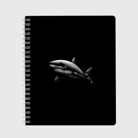 Тетрадь с принтом Акула в Екатеринбурге, 100% бумага | 48 листов, плотность листов — 60 г/м2, плотность картонной обложки — 250 г/м2. Листы скреплены сбоку удобной пружинной спиралью. Уголки страниц и обложки скругленные. Цвет линий — светло-серый
 | акула | акулы | морские животные | рыбы | хищники